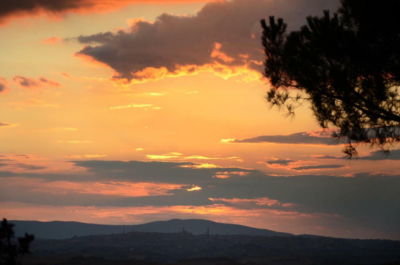Podere Il Granaio - Crete Senesi - Tuscany Siena Bagian luar foto